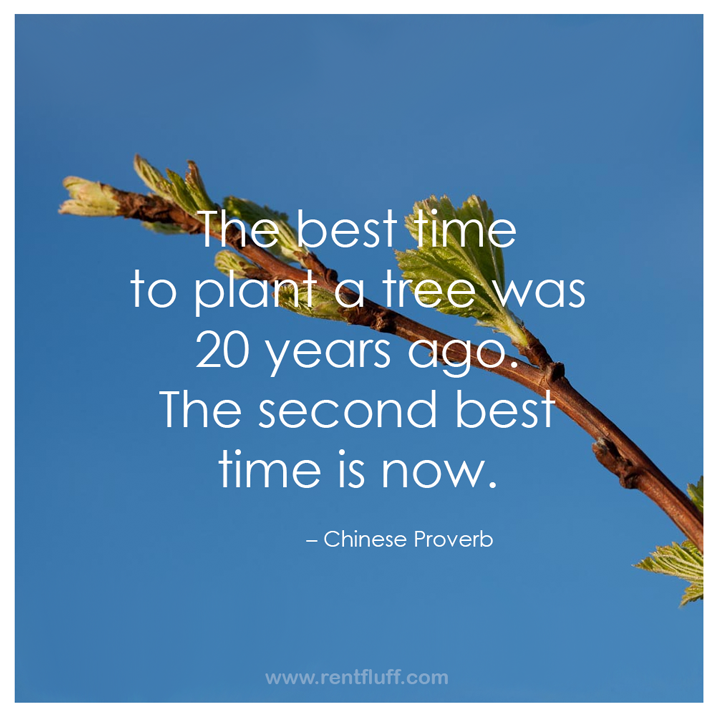 Monday Motivation - "The best time to plant a tree was 20 years ago. The second best time is now." - Chinese Proverb - Fluff Designs